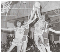 DC Basketball 