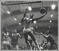 DC Basketball 
