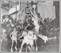 DC Basketball 