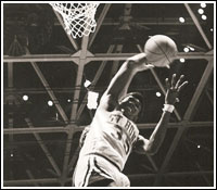 DC Basketball 