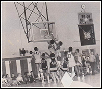 DC Basketball 