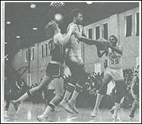 DC Basketball 