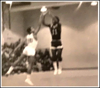Chick Gray Jumping