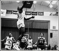 DC Basketball 