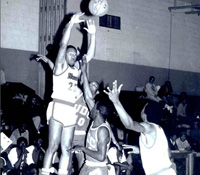 DC Basketball 