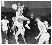 Chicken Breast Lee - DC Basketball 